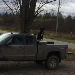 Meet your Posher, Brian